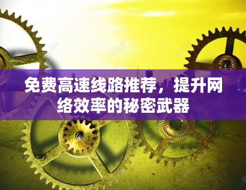 免费高速线路推荐，提升网络效率的秘密武器