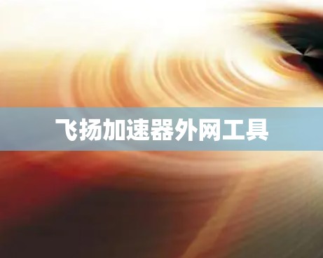 飞扬加速器外网工具