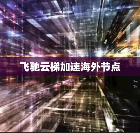 飞驰云梯加速海外节点