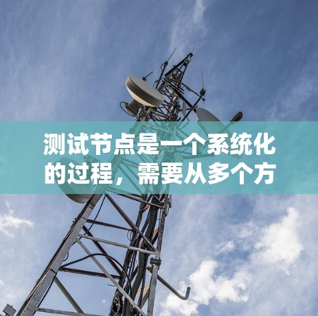 测试节点是一个系统化的过程，需要从多个方面进行全面检查以确保其稳定性和可靠性。以下是对测试节点的分步指南
