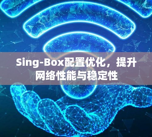 Sing-Box配置优化，提升网络性能与稳定性