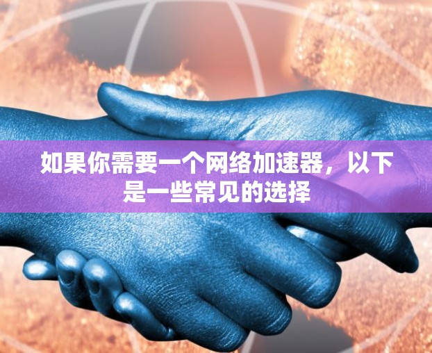 如果你需要一个网络加速器，以下是一些常见的选择