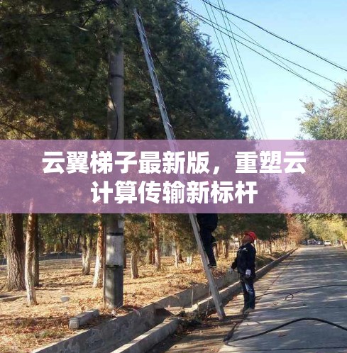 云翼梯子最新版，重塑云计算传输新标杆