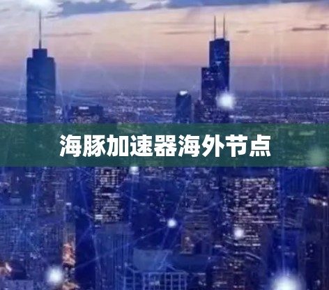 海豚加速器海外节点