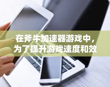 在斧牛加速器游戏中，为了提升游戏速度和效率，可以按照以下步骤进行设置和优化