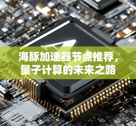 海豚加速器节点推荐，量子计算的未来之路