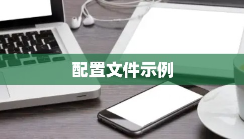 配置文件示例