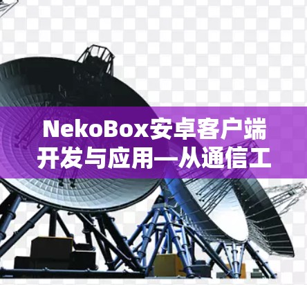 NekoBox安卓客户端开发与应用—从通信工程师的视角
