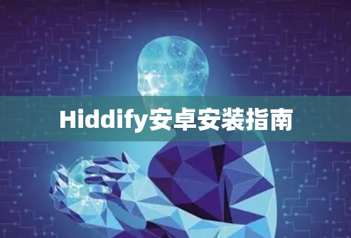 Hiddify安卓安装指南