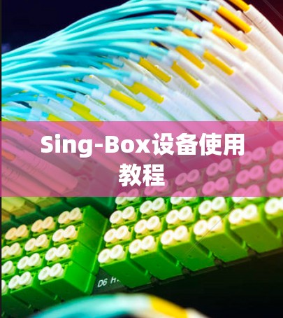 Sing-Box设备使用教程