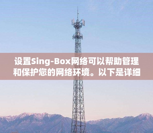 设置Sing-Box网络可以帮助管理和保护您的网络环境。以下是详细的步骤指南