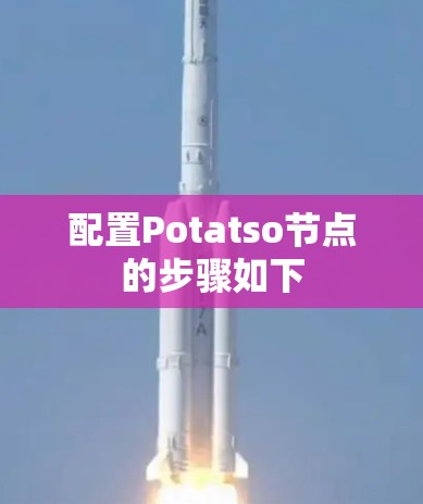 配置Potatso节点的步骤如下