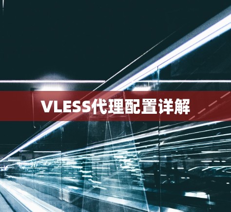 VLESS代理配置详解