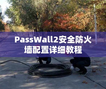 PassWall2安全防火墙配置详细教程