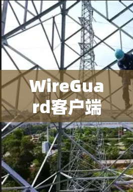 WireGuard客户端推荐