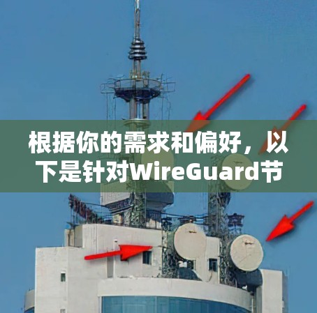 根据你的需求和偏好，以下是针对WireGuard节点管理工具的分步建议