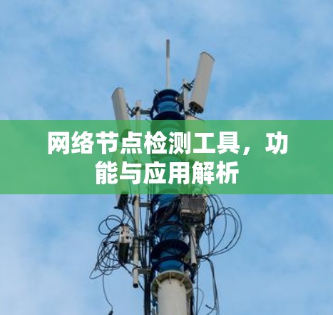 网络节点检测工具，功能与应用解析
