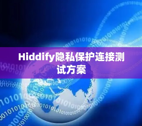 Hiddify隐私保护连接测试方案
