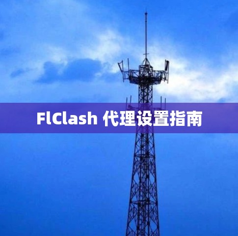 FlClash 代理设置指南