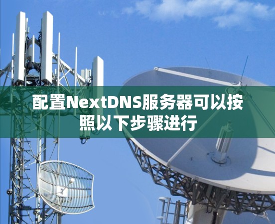 配置NextDNS服务器可以按照以下步骤进行