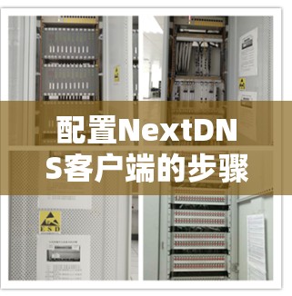 配置NextDNS客户端的步骤如下