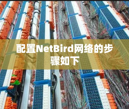 配置NetBird网络的步骤如下