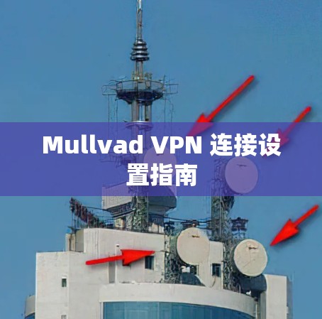 Mullvad VPN 连接设置指南