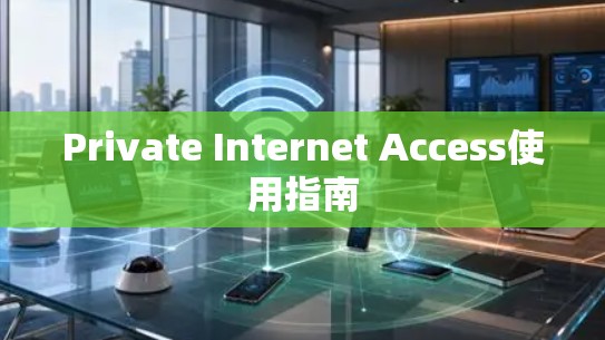 Private Internet Access使用指南