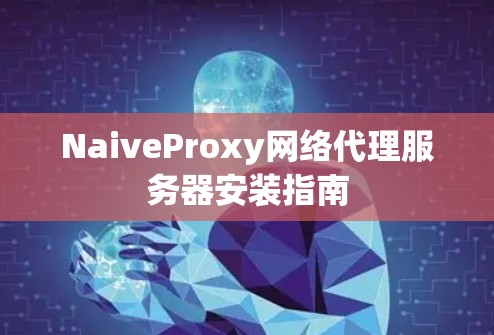 NaiveProxy网络代理服务器安装指南