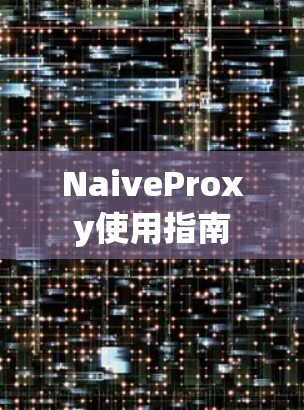 NaiveProxy使用指南