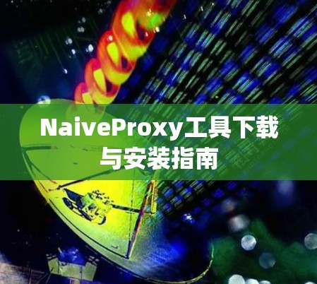 NaiveProxy工具下载与安装指南
