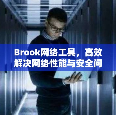 Brook网络工具，高效解决网络性能与安全问题