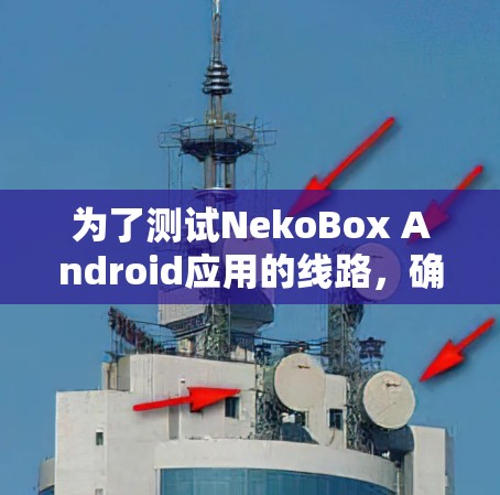 为了测试NekoBox Android应用的线路，确保其在不同网络环境下流畅运行，可以按照以下步骤进行