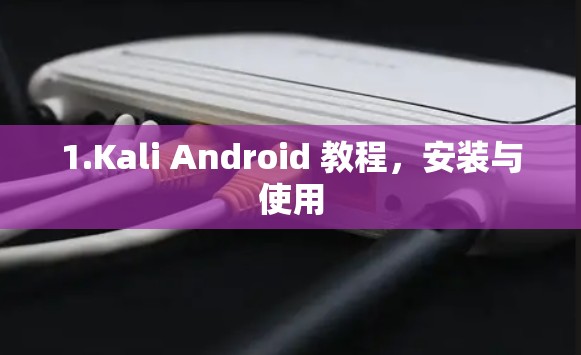 1.Kali Android 教程，安装与使用