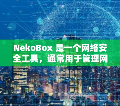 NekoBox 是一个网络安全工具，通常用于管理网络流量、防火墙设置和网络访问控制。规则设置是确保网络安全和管理网络访问的重要部分。以下是一些常见的规则设置建议