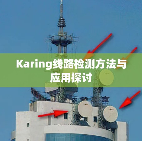 Karing线路检测方法与应用探讨