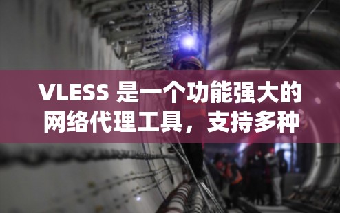 VLESS 是一个功能强大的网络代理工具，支持多种协议代理、DNS代理、会员管理等功能，适用于防火墙穿透、访问限制绕过等场景。以下是 VLESS 客户端的基本使用教程