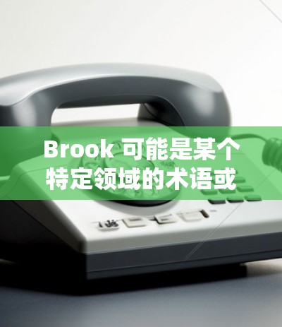Brook 可能是某个特定领域的术语或工具，但根据上下文，似乎在讨论一种规则设置。以下是一些可能与 Brook 规则设置相关的信息