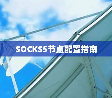 SOCKS5节点配置指南