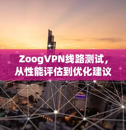 ZoogVPN线路测试，从性能评估到优化建议