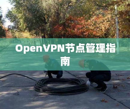 OpenVPN节点管理指南