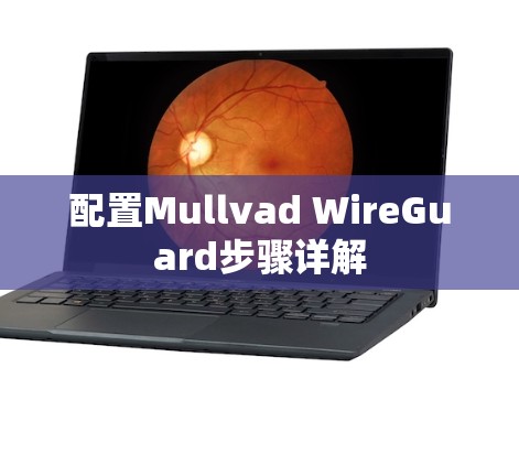 配置Mullvad WireGuard步骤详解