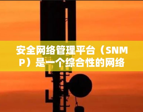 安全网络管理平台（SNMP）是一个综合性的网络安全管理工具，旨在帮助企业全面监控和管理网络安全。以下是对SNMP的详细分析和总结
