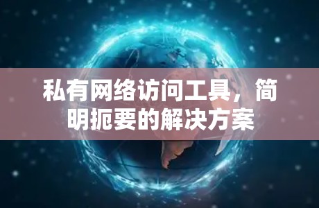 私有网络访问工具，简明扼要的解决方案