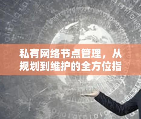私有网络节点管理，从规划到维护的全方位指南