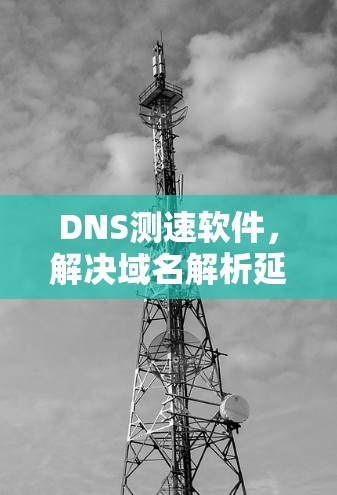 DNS测速软件，解决域名解析延迟问题
