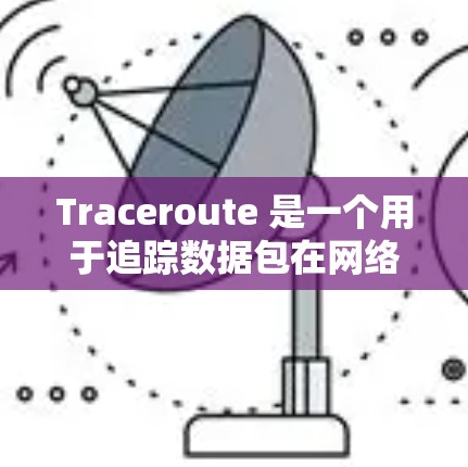 Traceroute 是一个用于追踪数据包在网络中的路由路径的工具，帮助用户定位网络问题。以下是对 Traceroute 的详细总结