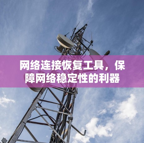 网络连接恢复工具，保障网络稳定性的利器