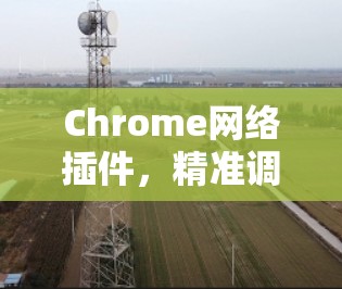 Chrome网络插件，精准调控网络资源的关键工具