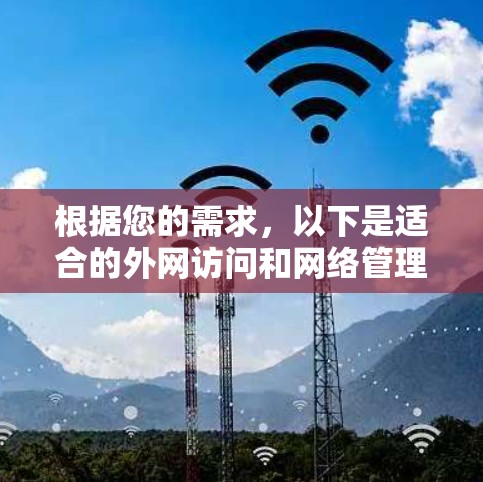根据您的需求，以下是适合的外网访问和网络管理工具的推荐